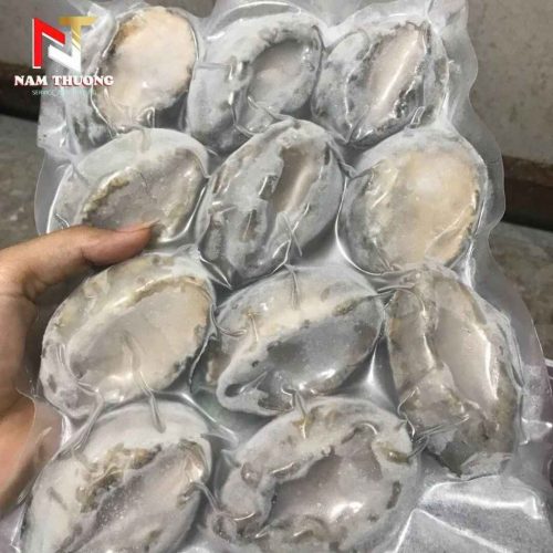 Bào ngư size 14 đông lạnh bảo quản dinh dưỡng