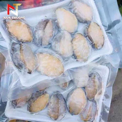 Bào ngư size 14 chất lượng cao