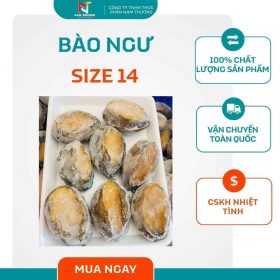 Bào ngư size 14 tại Nam Thương