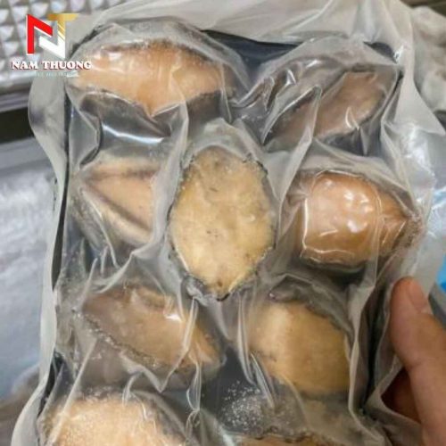 Bào ngư size 16 đông lạnh tươi ngon