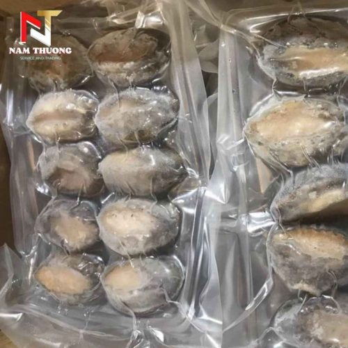 Bào ngư size 16 chất lượng cao