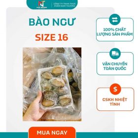 Bào ngư size 16 tại Nam Thương