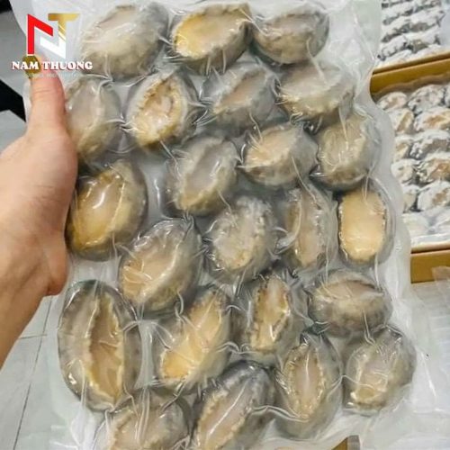 Bào ngư size 12 chất lượng cao