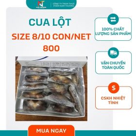 Cua lột size 8/10 con/ net 800 tại Nam Thương
