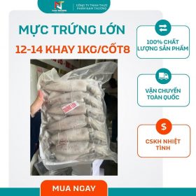 Mực trứng lớn 12-14 khay 1kg/cốt8 tại Nam Thương