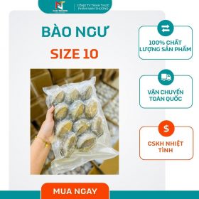 Bào ngư size 10 tại Nam Thương