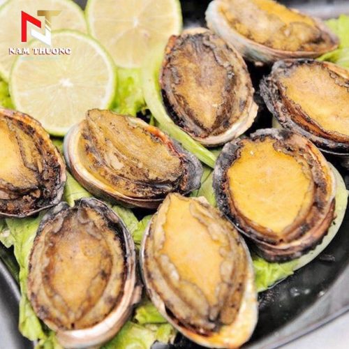 Bào ngư size 18 giá tốt nhất