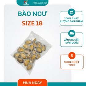 Bào ngư size 18 tại Nam Thương