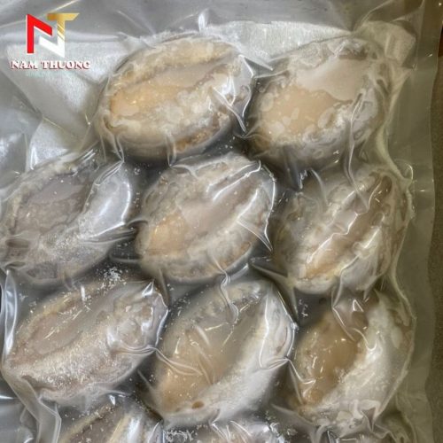 Bào ngư size 20 đông lạnh tươi ngon