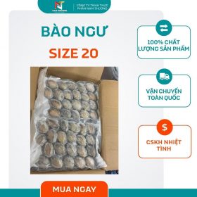 Bào ngư size 20 tại Nam Thương