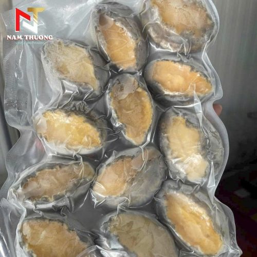 Bào ngư size 22 chất lượng cao