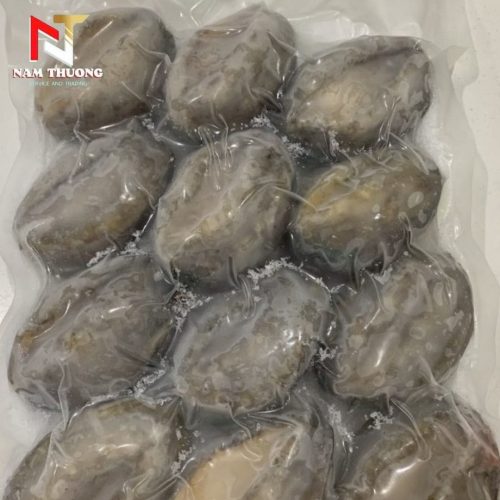 Bào ngư size 22 đông lạnh tươi ngon