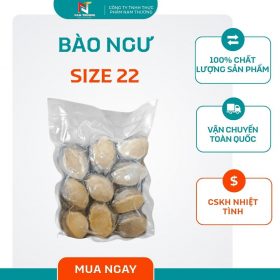 Bào ngư size 22 tại Nam Thương