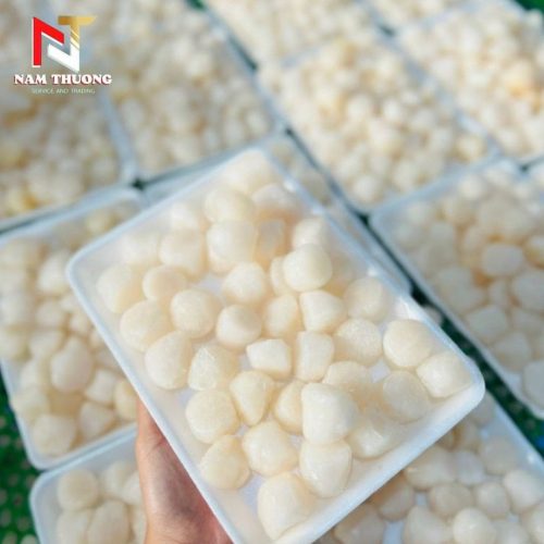 Cồi sò điệp 40 - 60 / net 7 tươi ngon