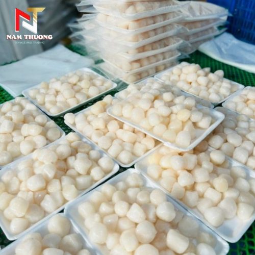 Cồi sò điệp 40 - 60 / net 7 chất lượng cao