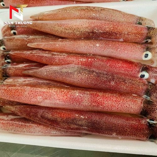 Mực ghim 15upA Phan Thiết tươi ngon
