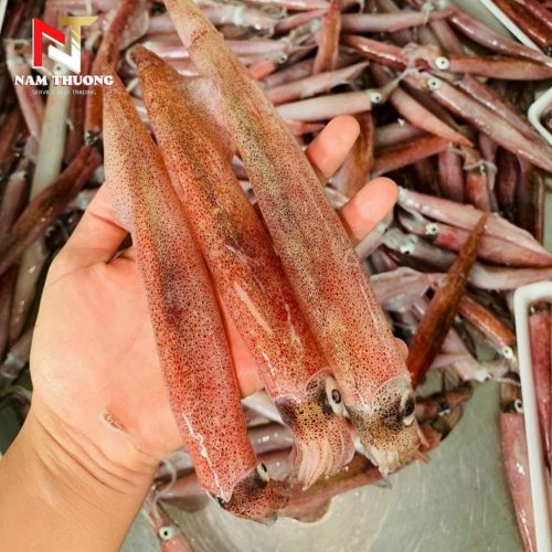 Mực ghim 15upA Phan Thiết chất lượng tại Nam Thương