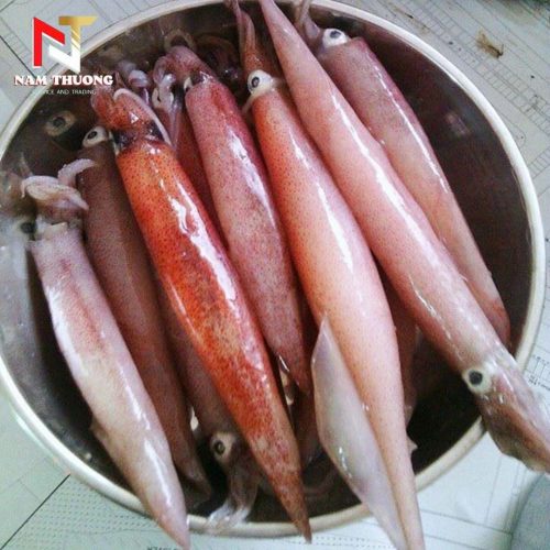Mực ghim 15upB Phan Thiết tươi ngon