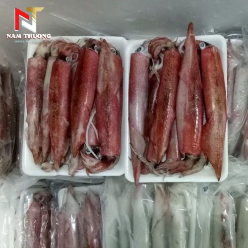 Mực ghim 7-9A Phan Thiết tươi ngon