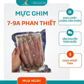 Mực ghim 7-9A Phan Thiết từ Nam Thương