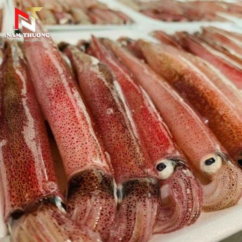 Mực ghim 9-12B Phan Thiết tươi ngon