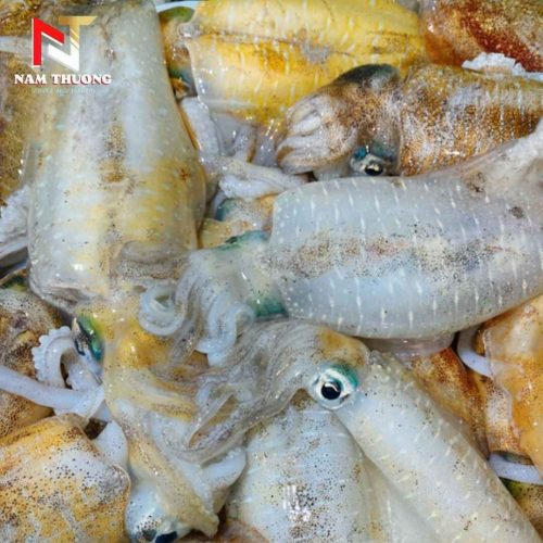 Mực lá size 500-600g tươi ngon