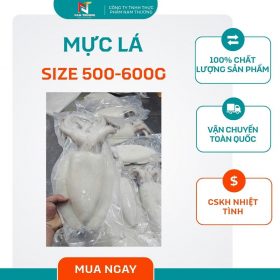 Mực lá size 500-600g tại Nam Thương
