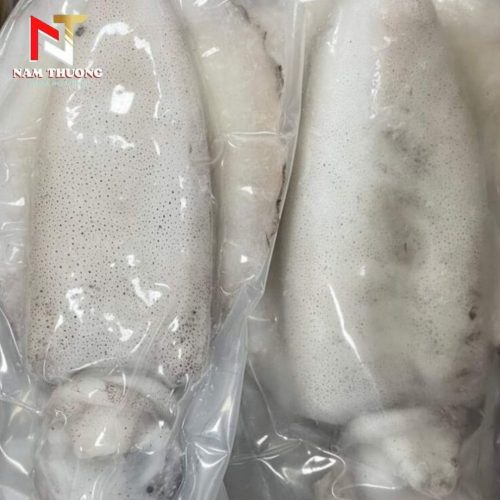 Mực lá size 700-1000g chất lượng
