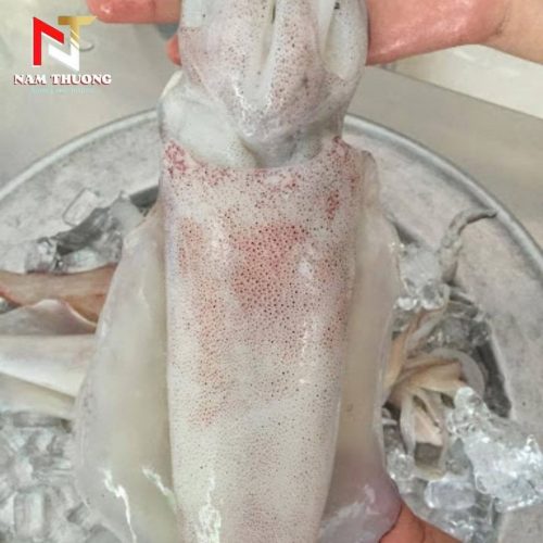 Mực lá size 700-1000g tươi ngon tại Nam Thương