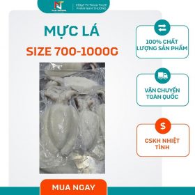 Mực lá size 700-1000g tại Nam Thương