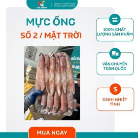 Mực ống số 2 / mặt trời tại Nam Thương