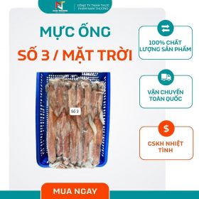 Mực ống số 3 / mặt trời tại Nam Thương