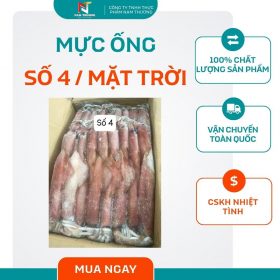 Mực ống số 4 / mặt trời tại Nam Thương