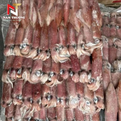 Giá trị dinh dưỡng của Mực ống số 4 / mặt trời