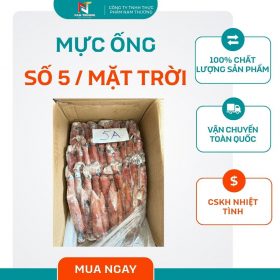 Mực ống số 5 / mặt trời tại Nam Thương