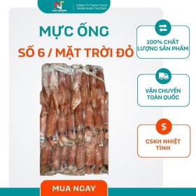 Mực ống số 6 / mặt trời đỏ tại Nam Thương