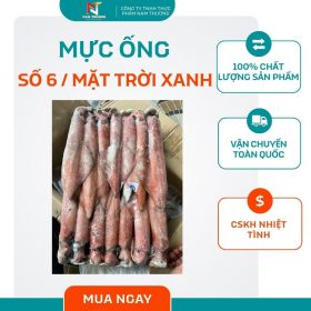 Mực ống số 6 / mặt trời xanh tại Nam Thương
