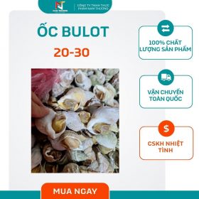 ốc bulot 20-30 tại Nam Thương