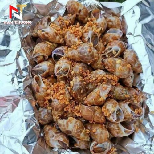 Món ăn chế biến từ Ốc hương quế 20-30