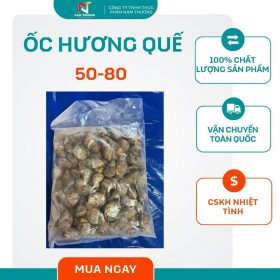 ốc hương quế 50-80 tại Nam Thương