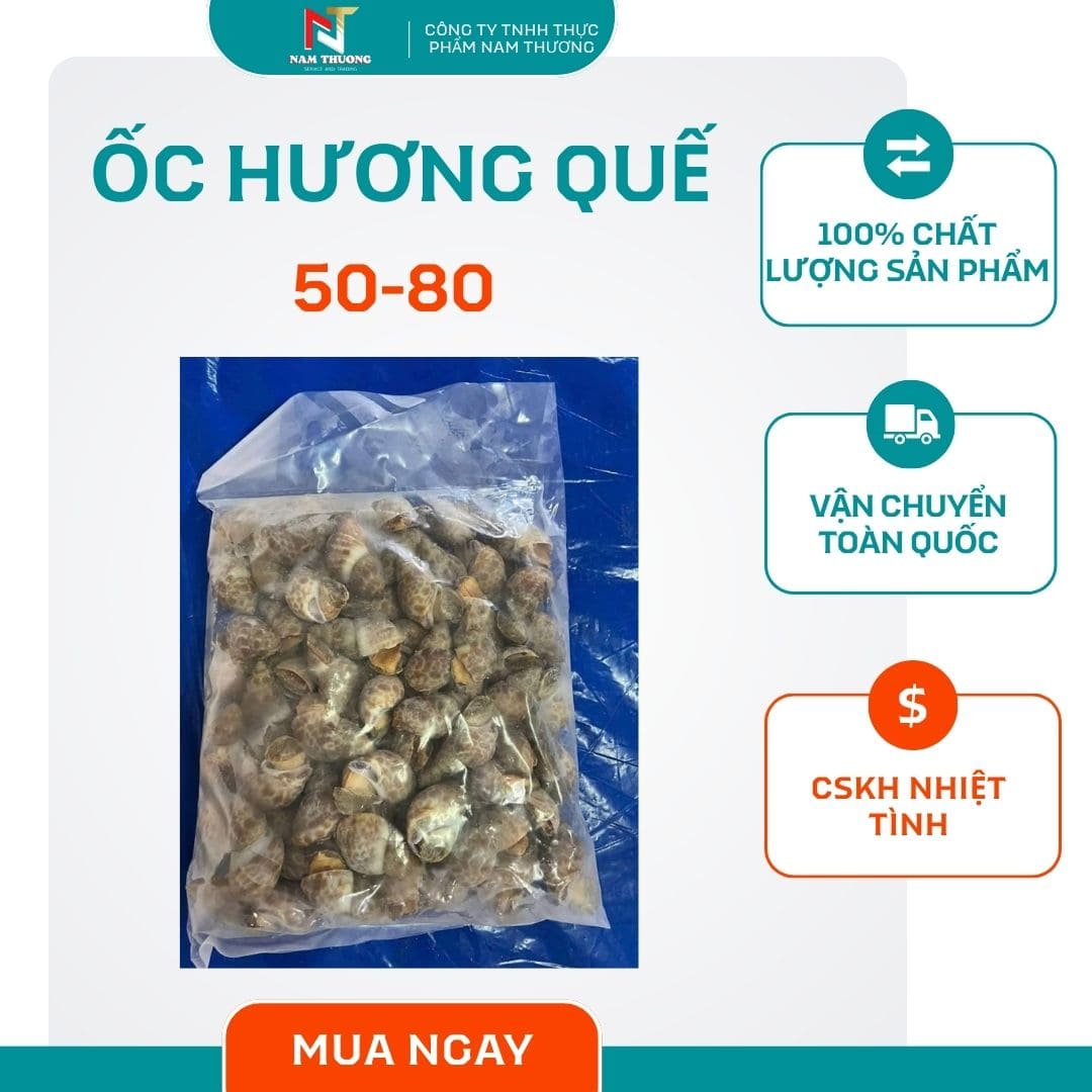 oc-huong-que-50-80-fix ốc hương quế 50-80 tại Nam Thương