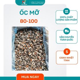 Ốc mỡ size 80-100 tại Nam Thương