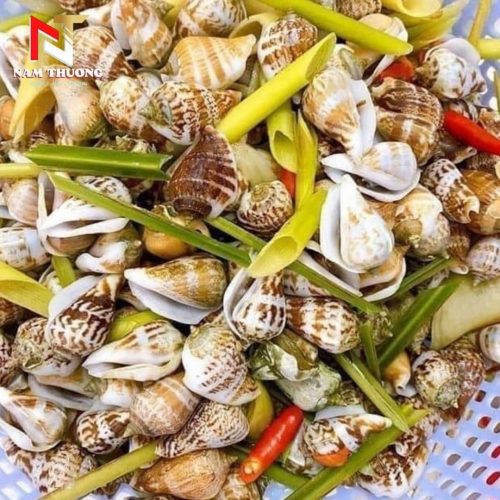 Món ăn từ ốc nhảy size 20-40