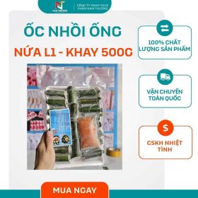 Ốc nhồi ống nứa L1 – Khay 500g tại Nam Thương
