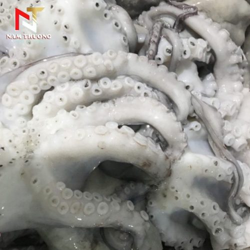 Râu tuộc size 3-4 tươi ngon nhất thị trường