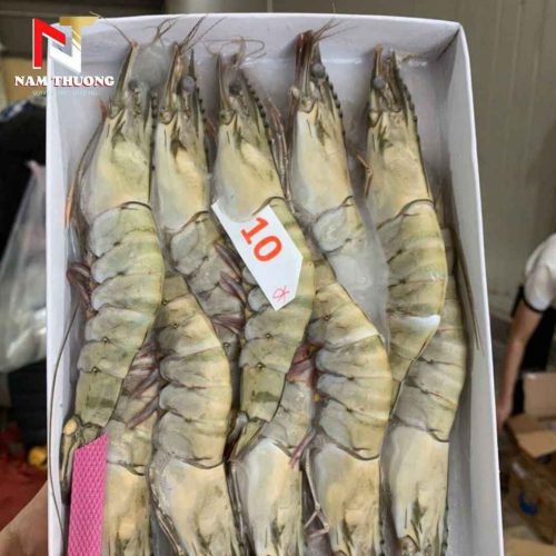 Tôm 10C chất lượng cao