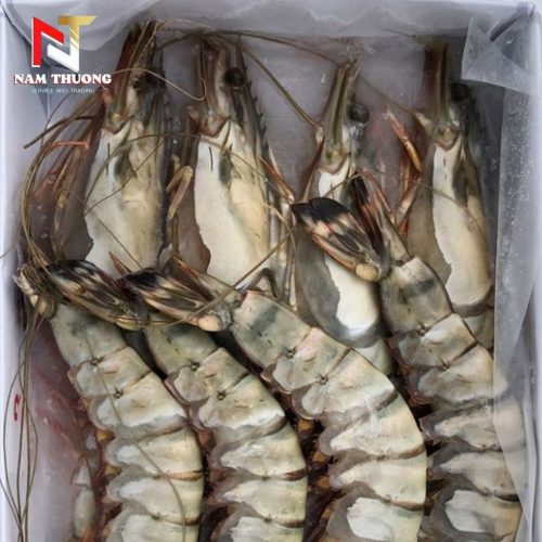 Tôm 12C chất lượng cao