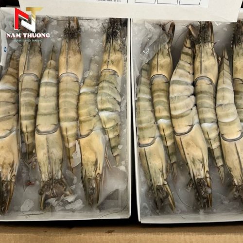 Tôm 18C chất lượng cao