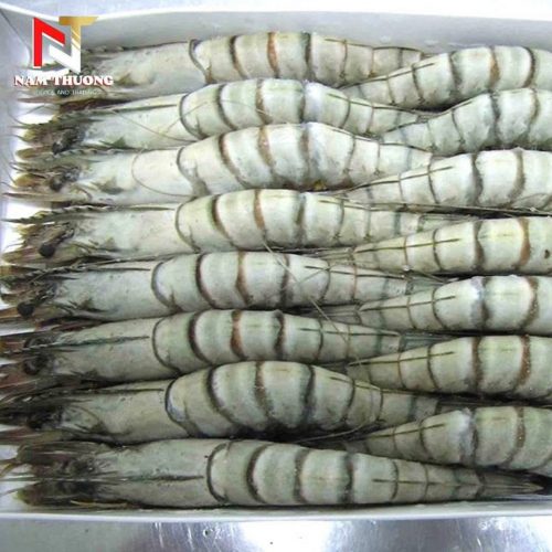 Tôm 18C giá rẻ nhất