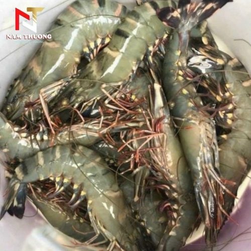 Tôm 20C tươi ngon